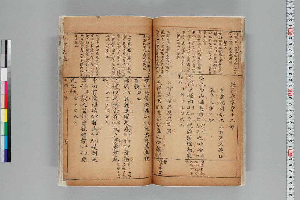 標準画像へ