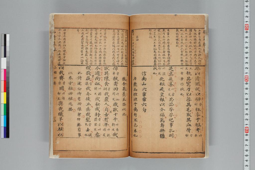 標準画像へ