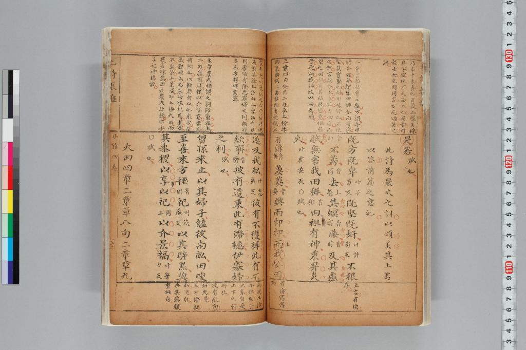 標準画像へ