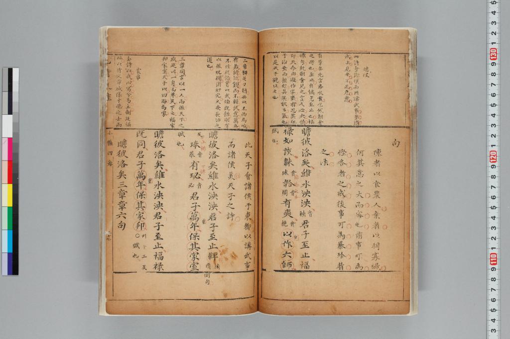標準画像へ