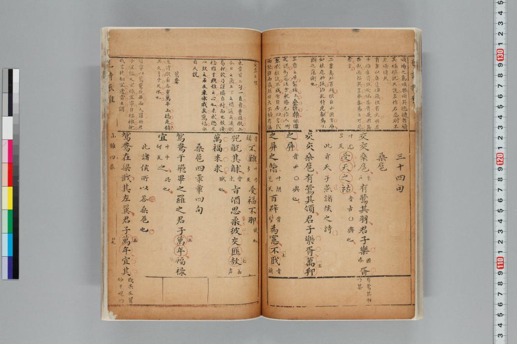 標準画像へ