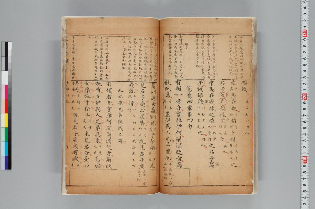標準画像へ