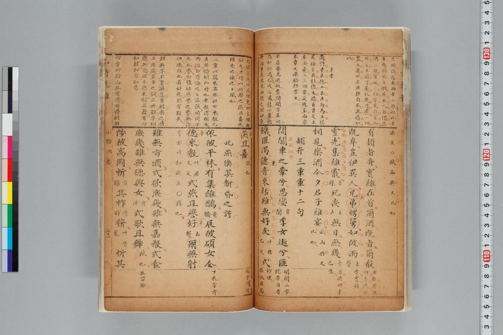 標準画像へ