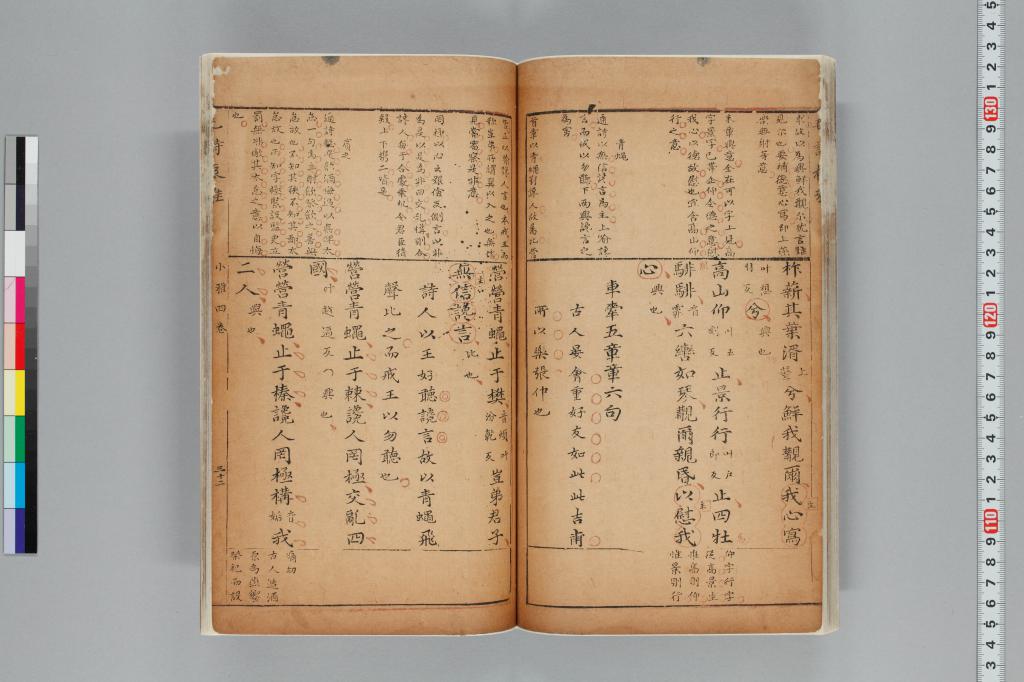 標準画像へ