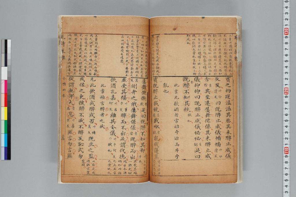 標準画像へ