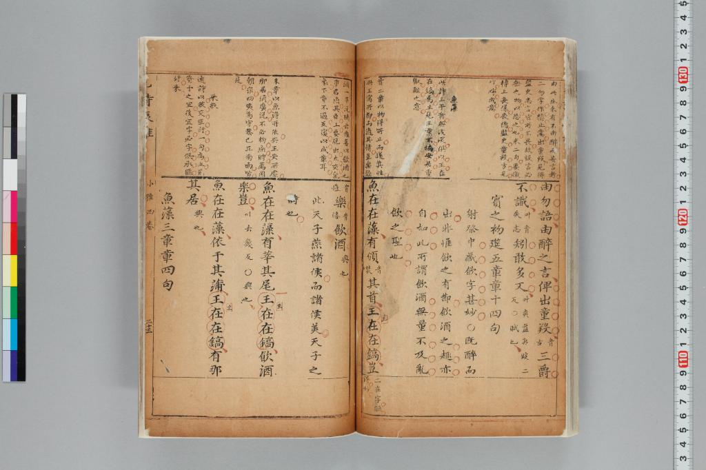 標準画像へ