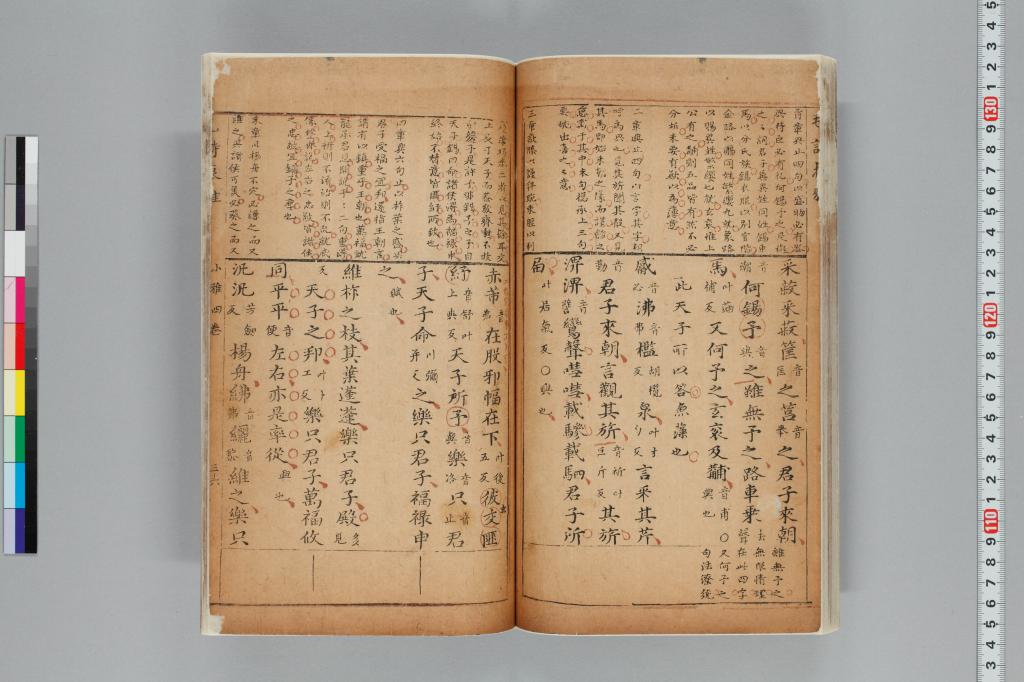 標準画像へ