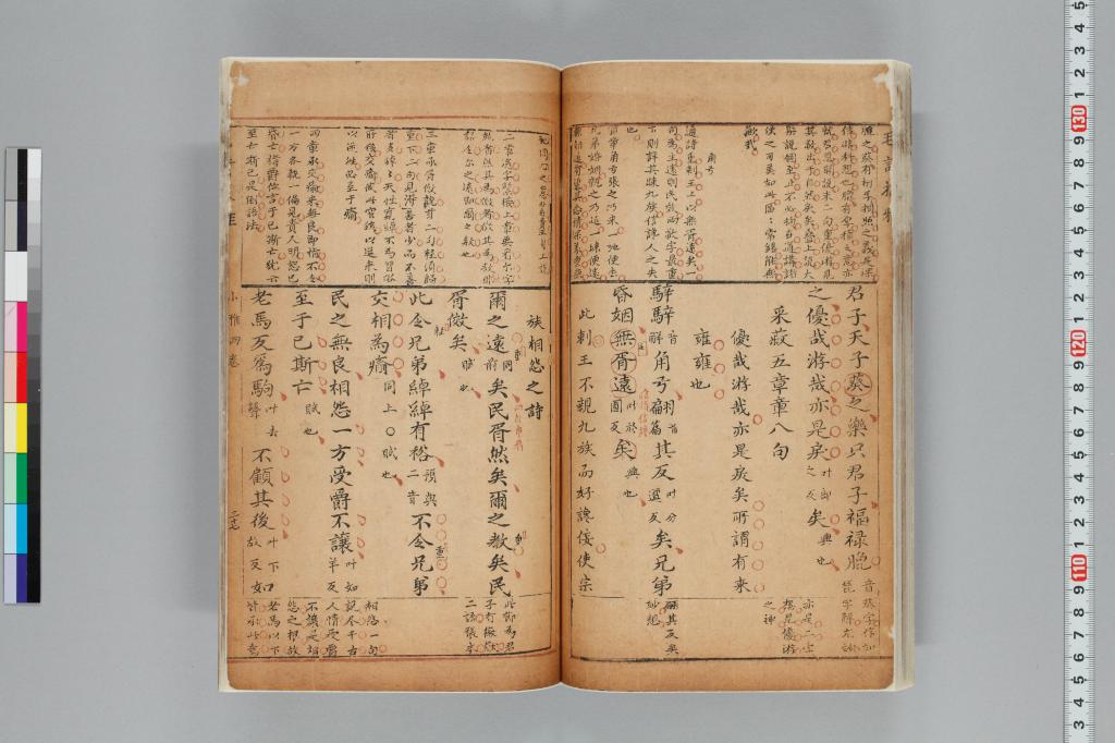 標準画像へ