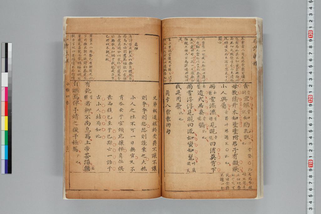標準画像へ