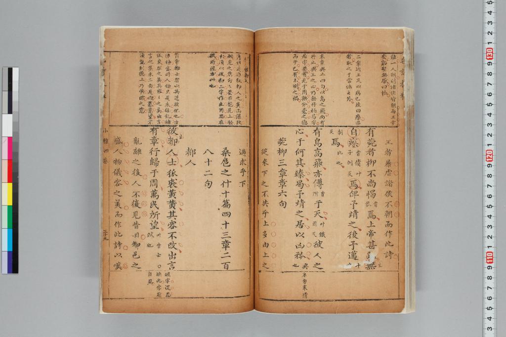 標準画像へ
