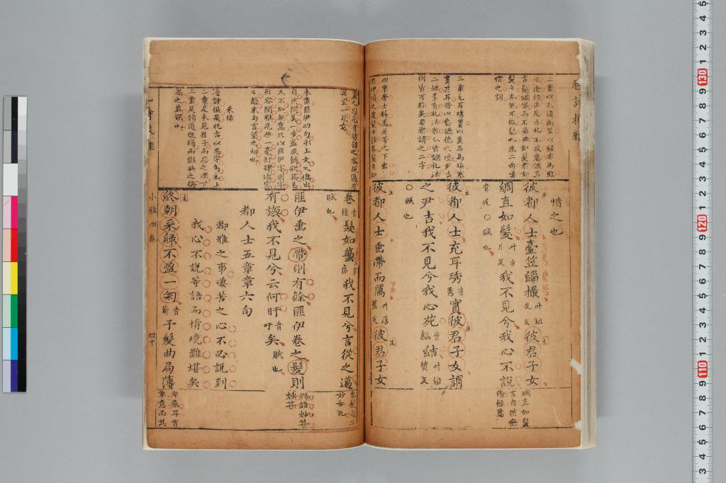 標準画像へ