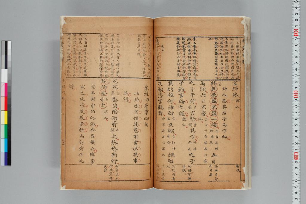 標準画像へ