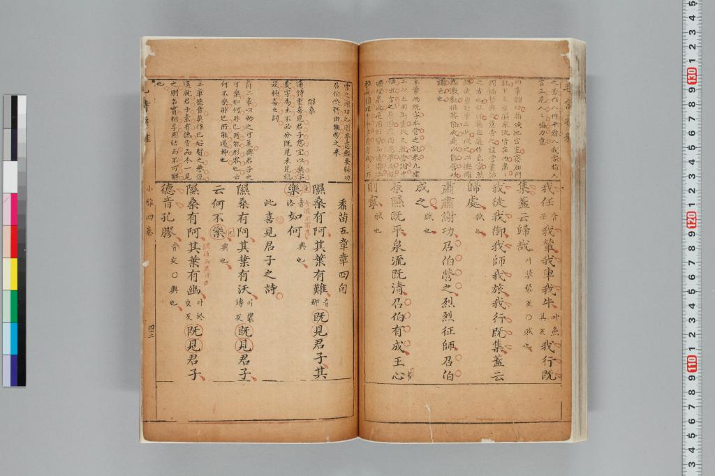 標準画像へ