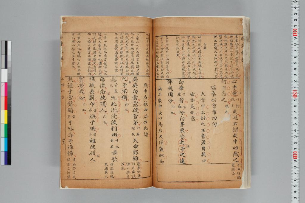 標準画像へ