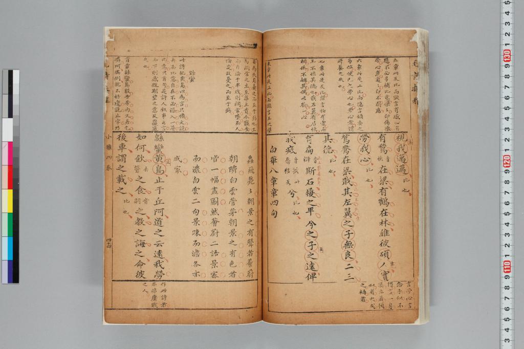 標準画像へ
