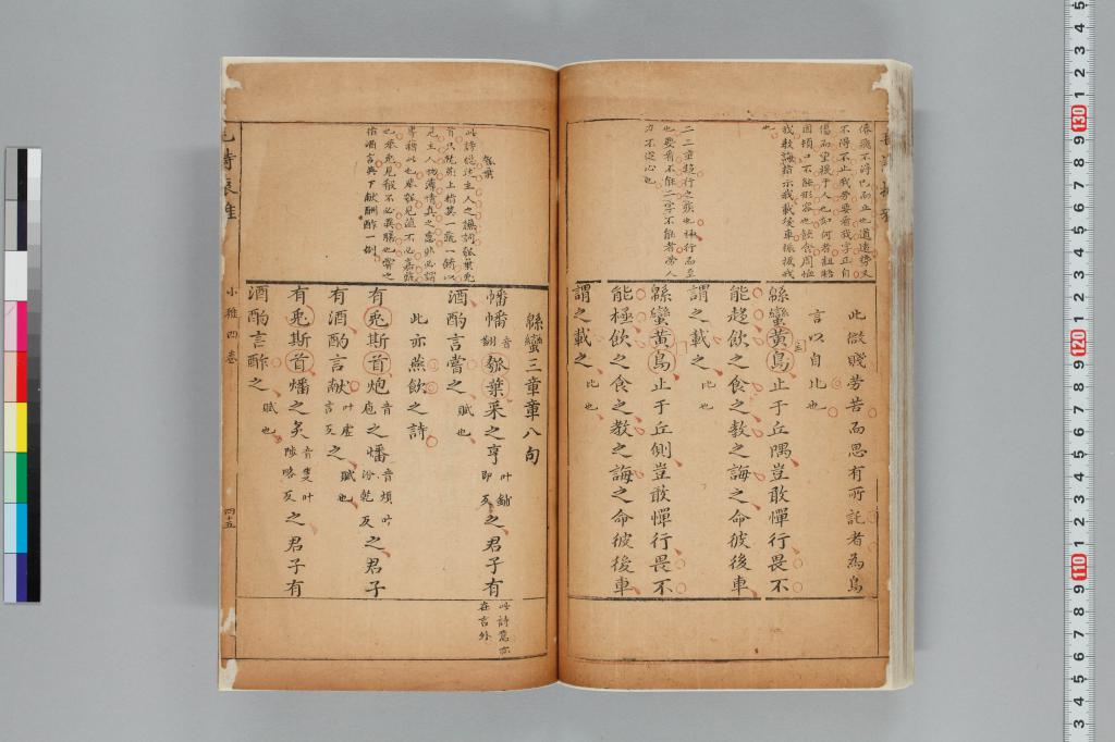 標準画像へ