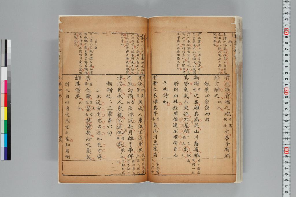 標準画像へ
