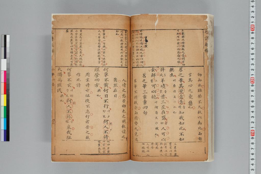 標準画像へ