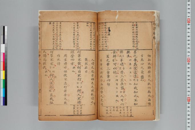 拡大画像へ