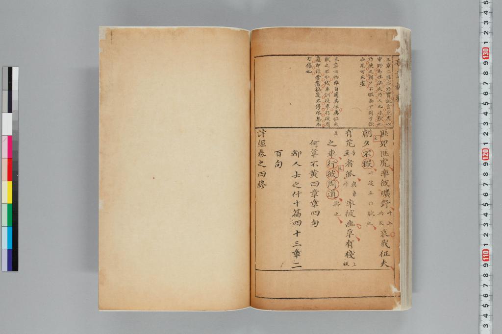 標準画像へ