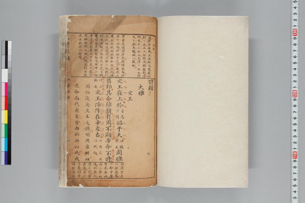 標準画像へ