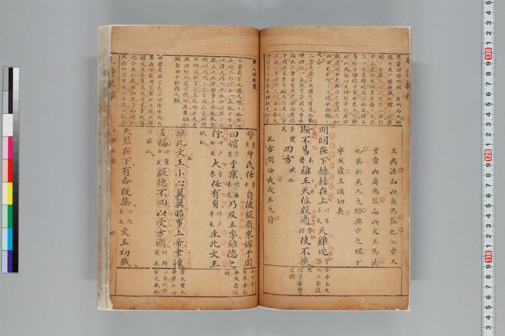標準画像へ