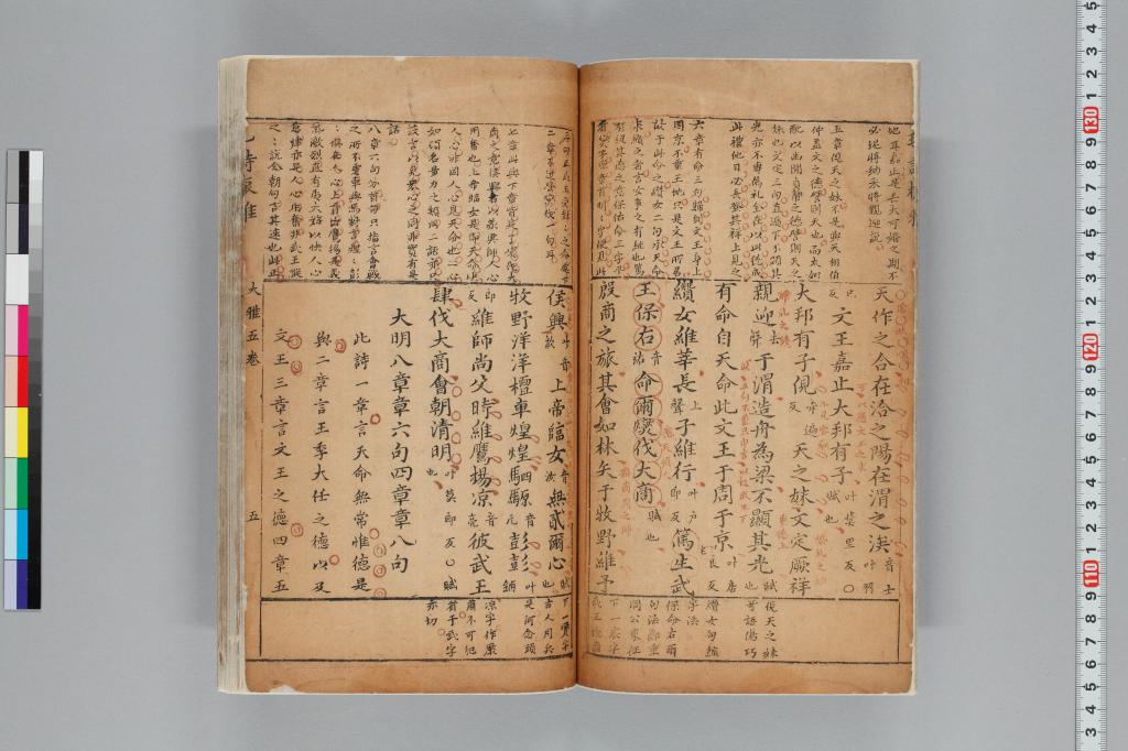 標準画像へ