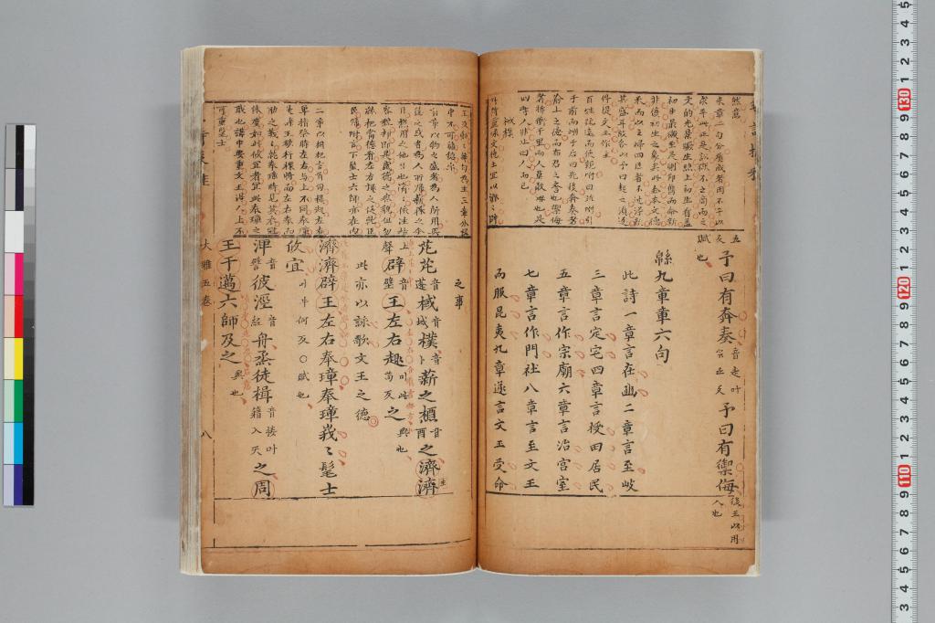 標準画像へ