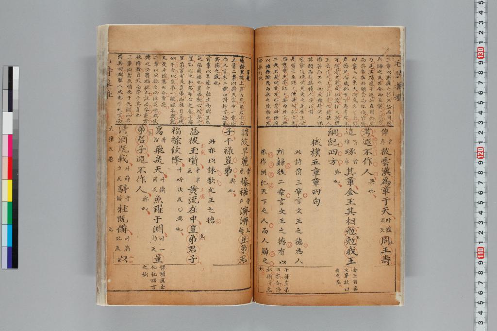 標準画像へ