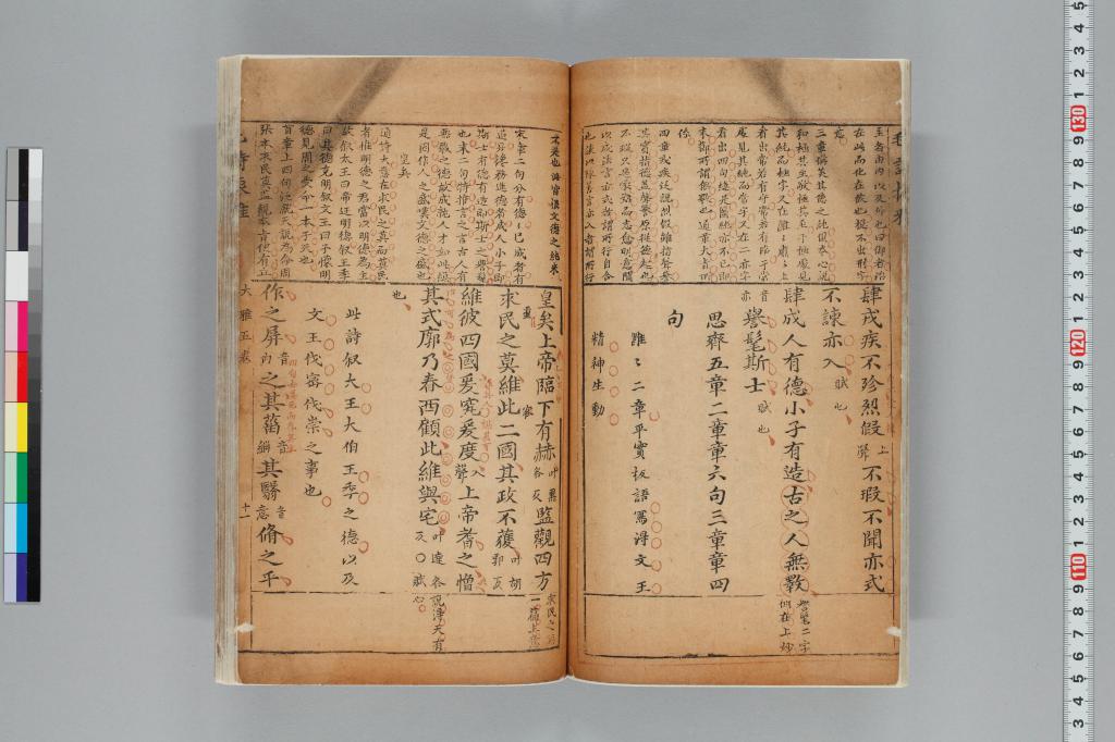 標準画像へ