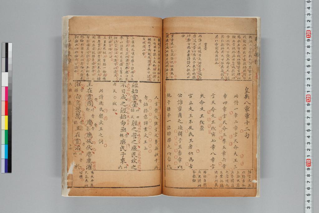 標準画像へ