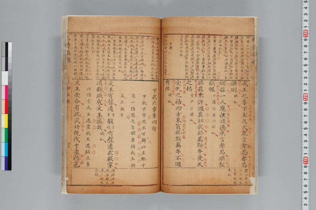 標準画像へ