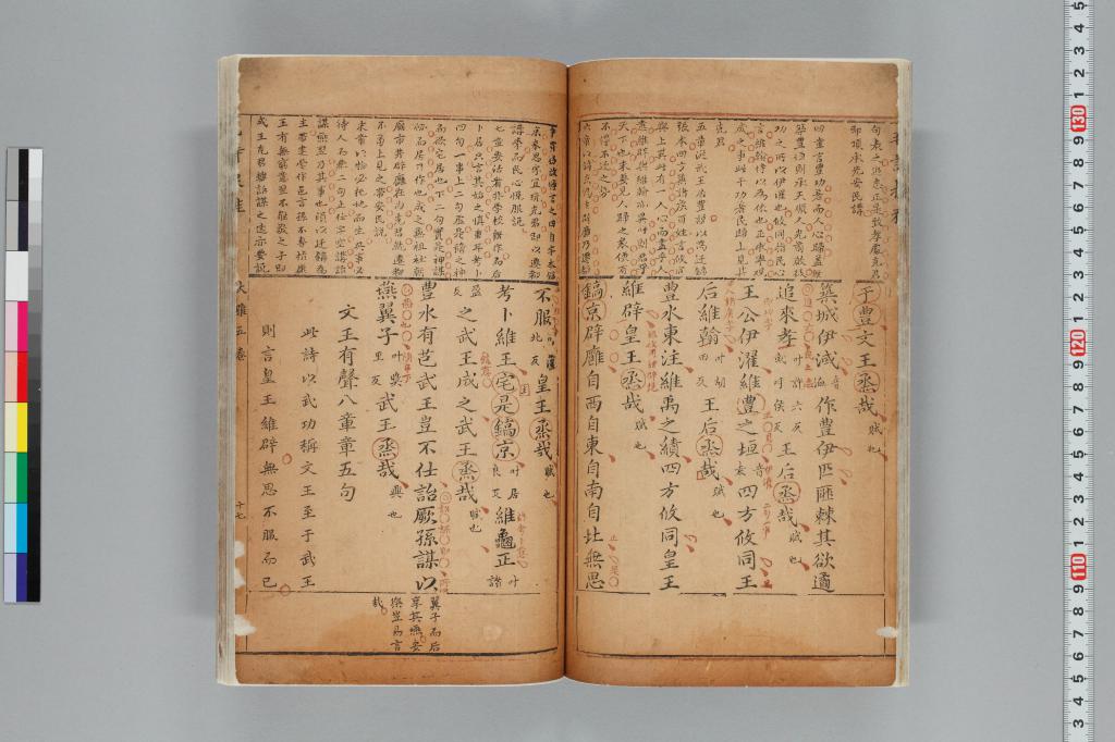標準画像へ