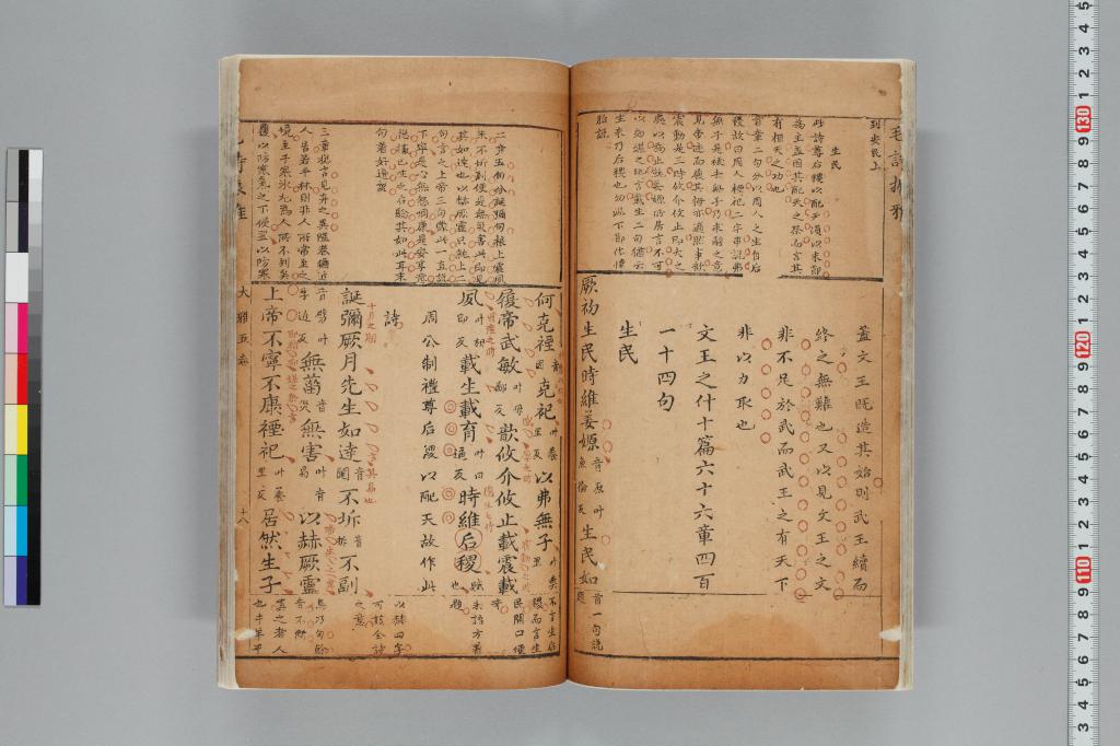 標準画像へ