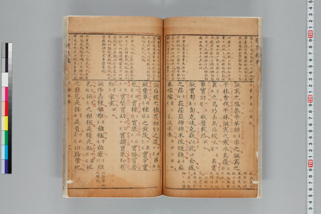 標準画像へ