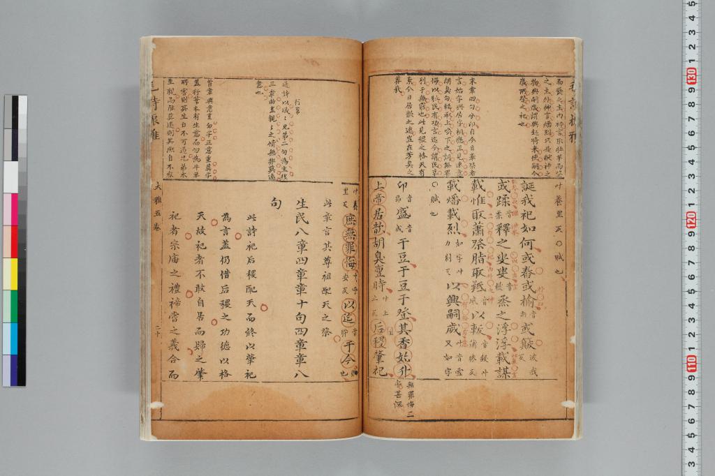 標準画像へ