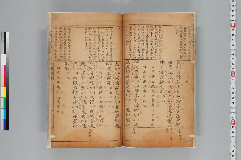 標準画像へ