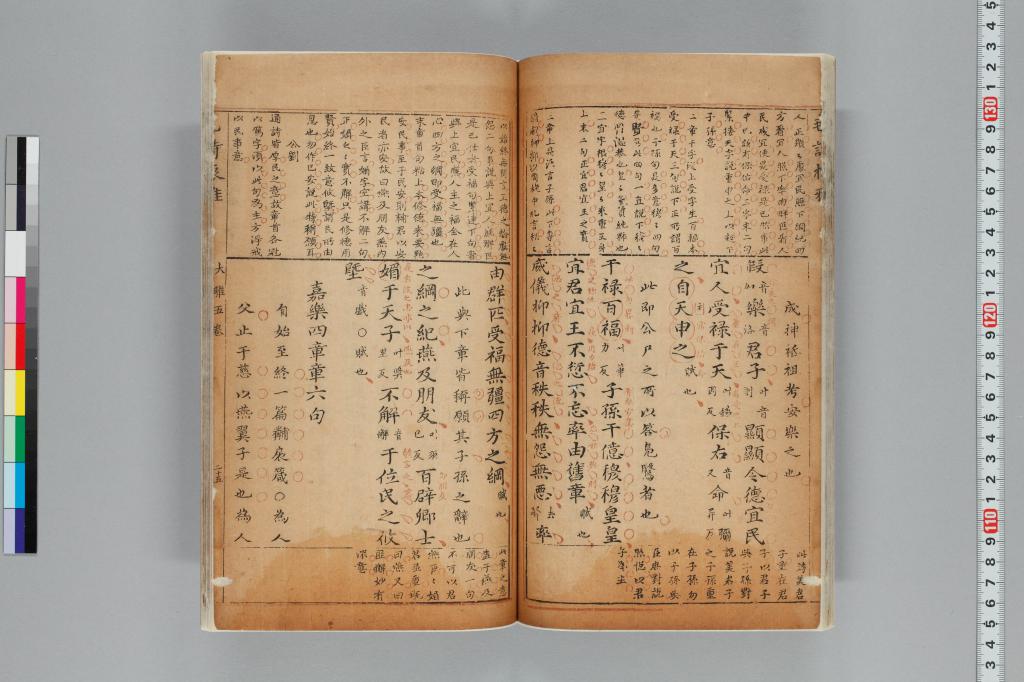 標準画像へ