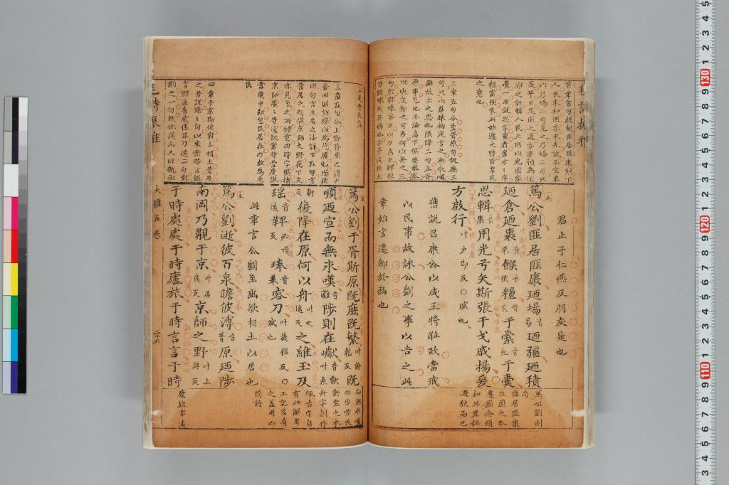 標準画像へ