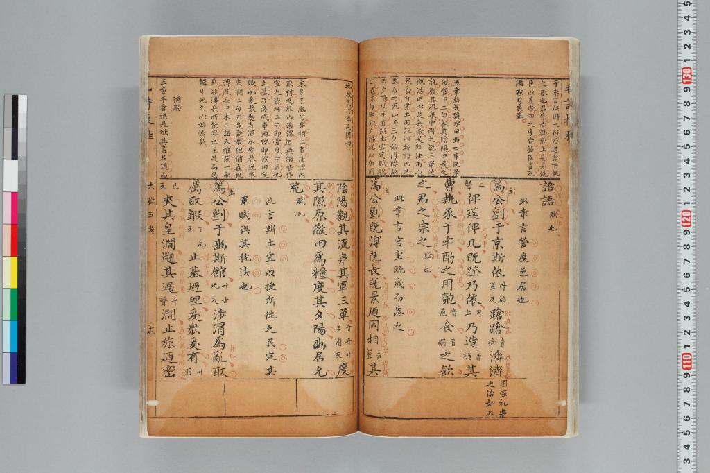 標準画像へ