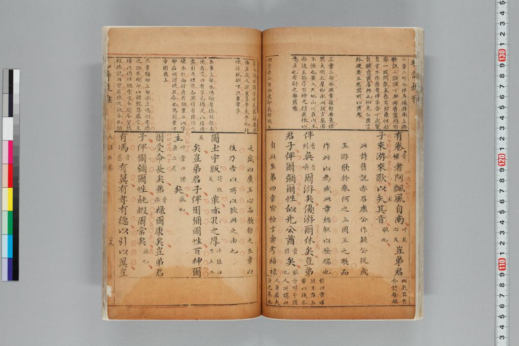 標準画像へ