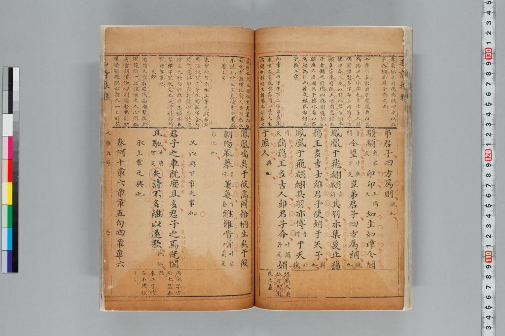 標準画像へ