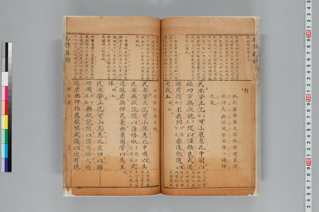 標準画像へ