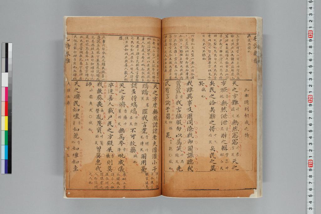 標準画像へ