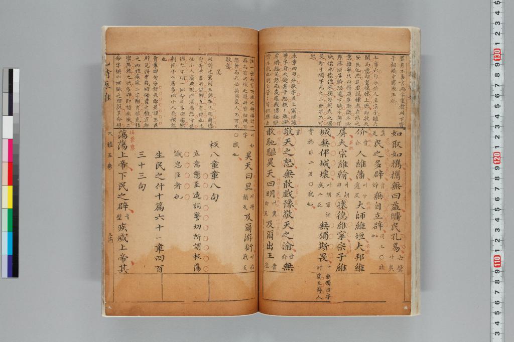 標準画像へ