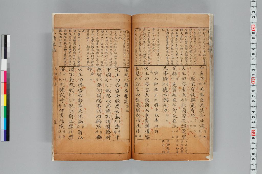 標準画像へ