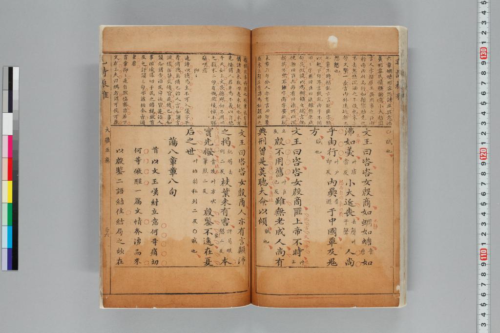 標準画像へ