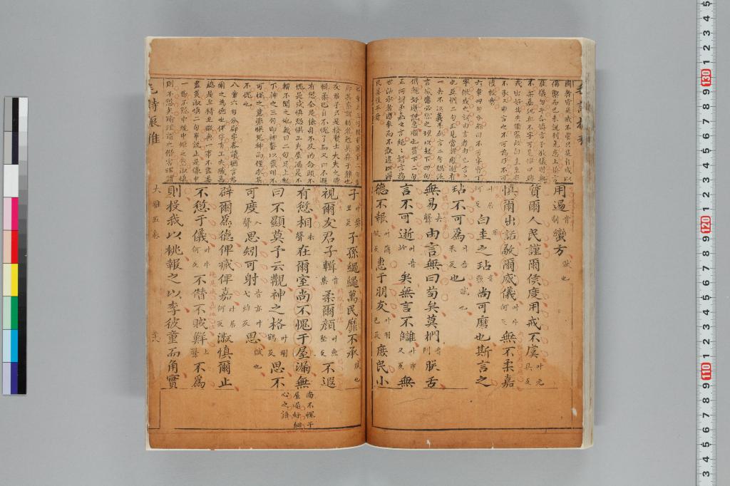 標準画像へ
