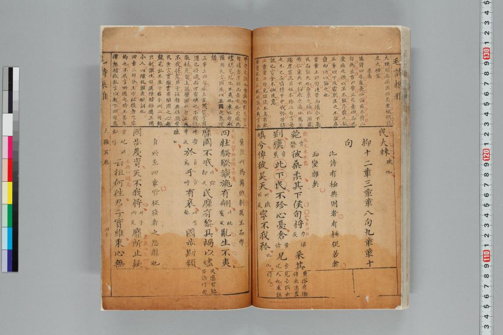 標準画像へ