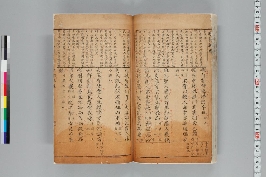 標準画像へ